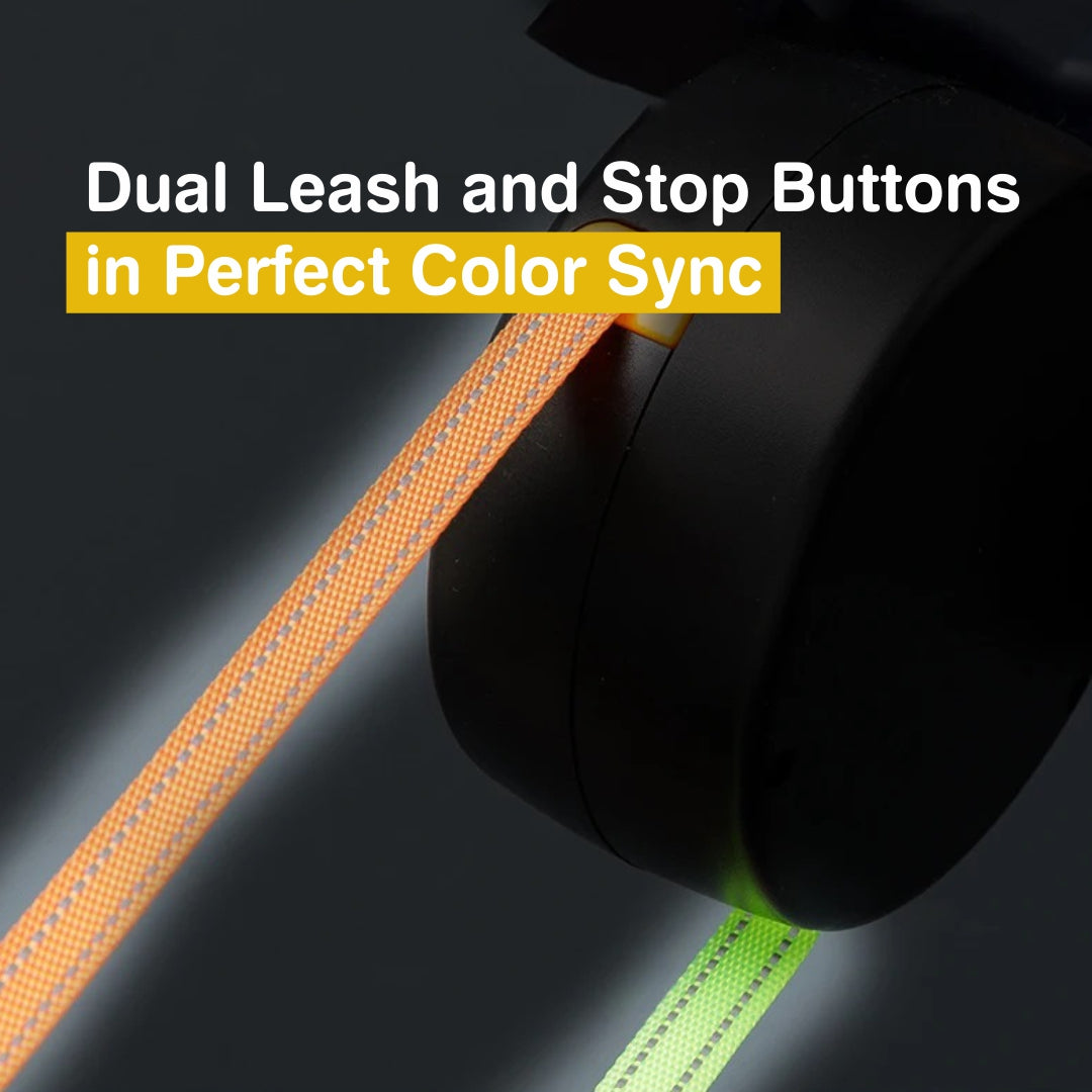 Sindi⢠- Dual Dog Leash