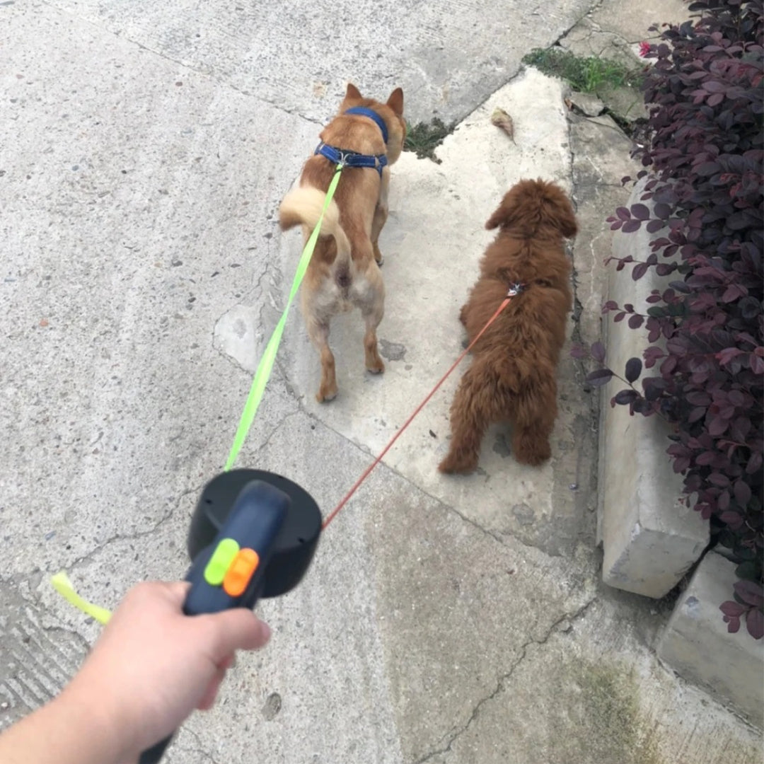 Sindi⢠- Dual Dog Leash