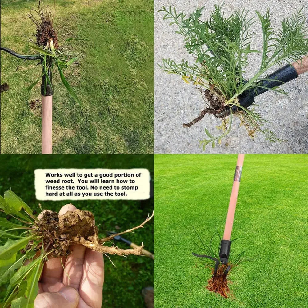 Sindi™ - Weed Puller Tool